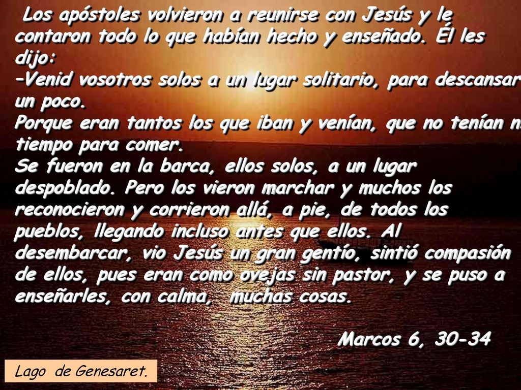 Los apóstoles volvieron a reunirse con Jesús y le contaron todo lo que habían hecho y enseñado. Él les dijo: –Venid vosotros solos a un lugar solitario, para descansar un poco. Porque eran tantos los que iban y venían, que no tenían ni tiempo para comer. Se fueron en la barca, ellos solos, a un lugar despoblado. Pero los vieron marchar y muchos los reconocieron y corrieron allá, a pie, de todos los pueblos, llegando incluso antes que ellos. Al desembarcar, vio Jesús un gran gentío, sintió compasión de ellos, pues eran como ovejas sin pastor, y se puso a enseñarles, con calma, muchas cosas.