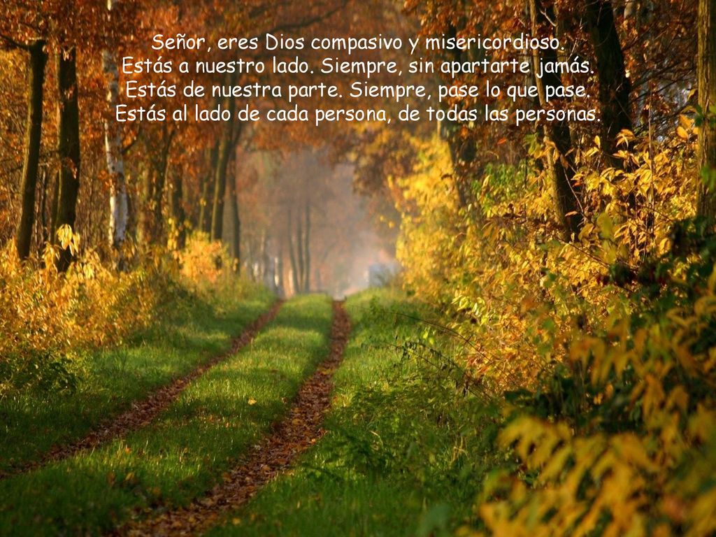 Señor, eres Dios compasivo y misericordioso. Estás a nuestro lado