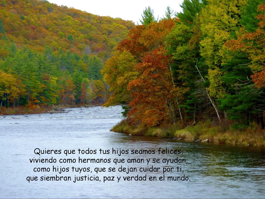 Quieres que todos tus hijos seamos felices, viviendo como hermanos que aman y se ayudan, como hijos tuyos, que se dejan cuidar por ti, que siembran justicia, paz y verdad en el mundo.