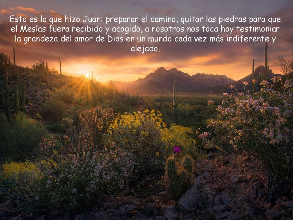 Esto es lo que hizo Juan: preparar el camino, quitar las piedras para que el Mesías fuera recibido y acogido, a nosotros nos toca hoy testimoniar la grandeza del amor de Dios en un mundo cada vez más indiferente y alejado.