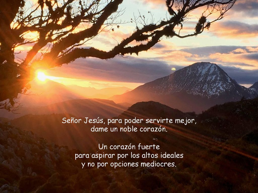 Señor Jesús, para poder servirte mejor, dame un noble corazón.