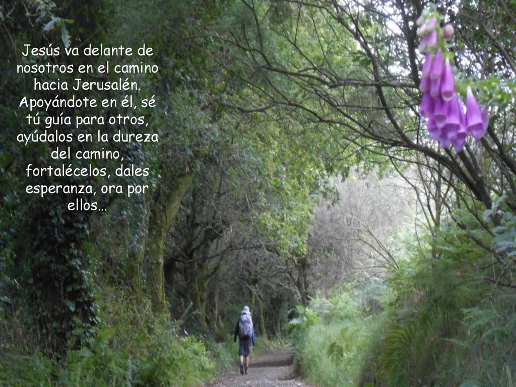 Jesús va delante de nosotros en el camino hacia Jerusalén