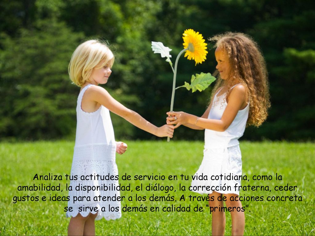 Analiza tus actitudes de servicio en tu vida cotidiana, como la amabilidad, la disponibilidad, el diálogo, la corrección fraterna, ceder gustos e ideas para atender a los demás.