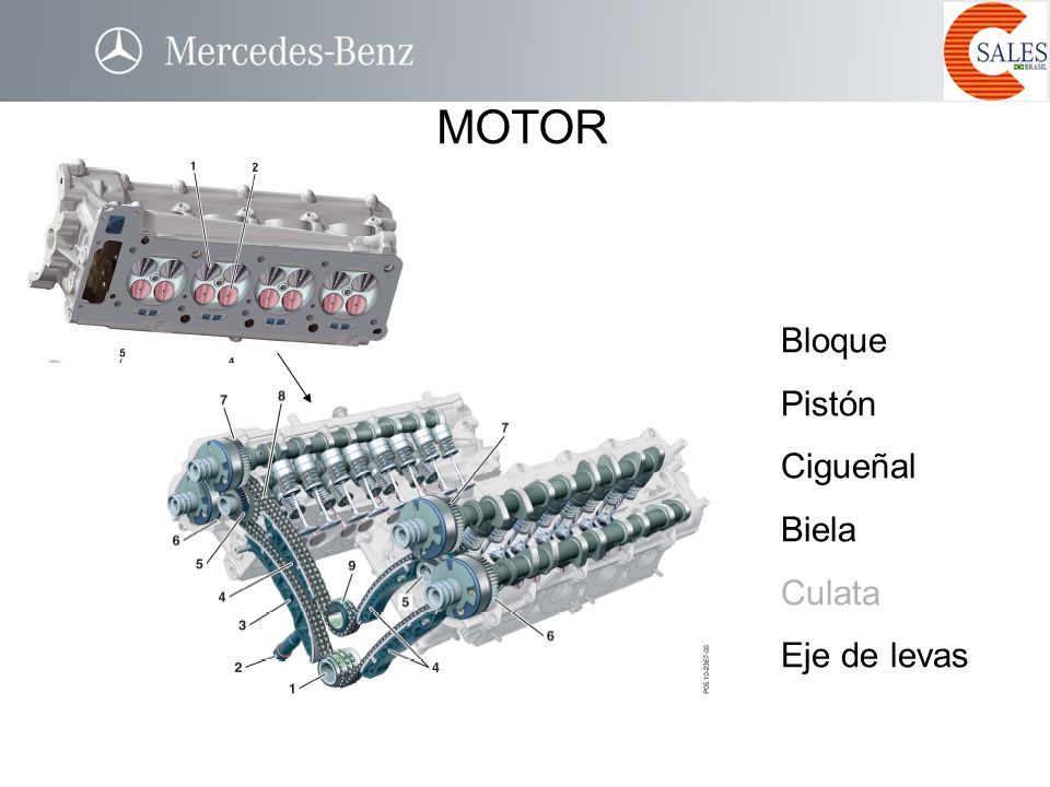 MOTOR Bloque Pistón Cigueñal Biela Culata Eje de levas CABEÇOTE