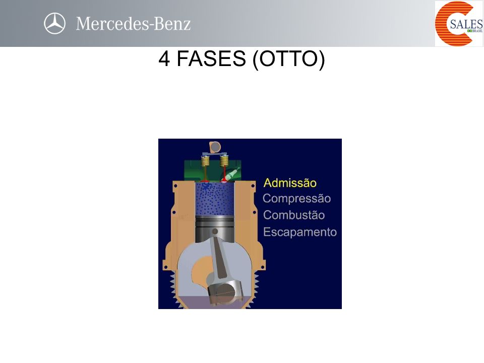 4 FASES (OTTO) Apresente a animação, poRm não entre em detalhes.