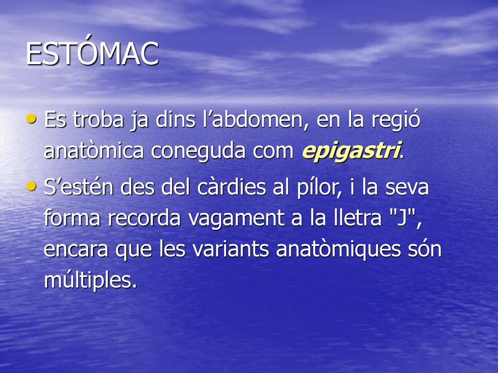ESTÓMAC Es troba ja dins l’abdomen, en la regió anatòmica coneguda com epigastri.