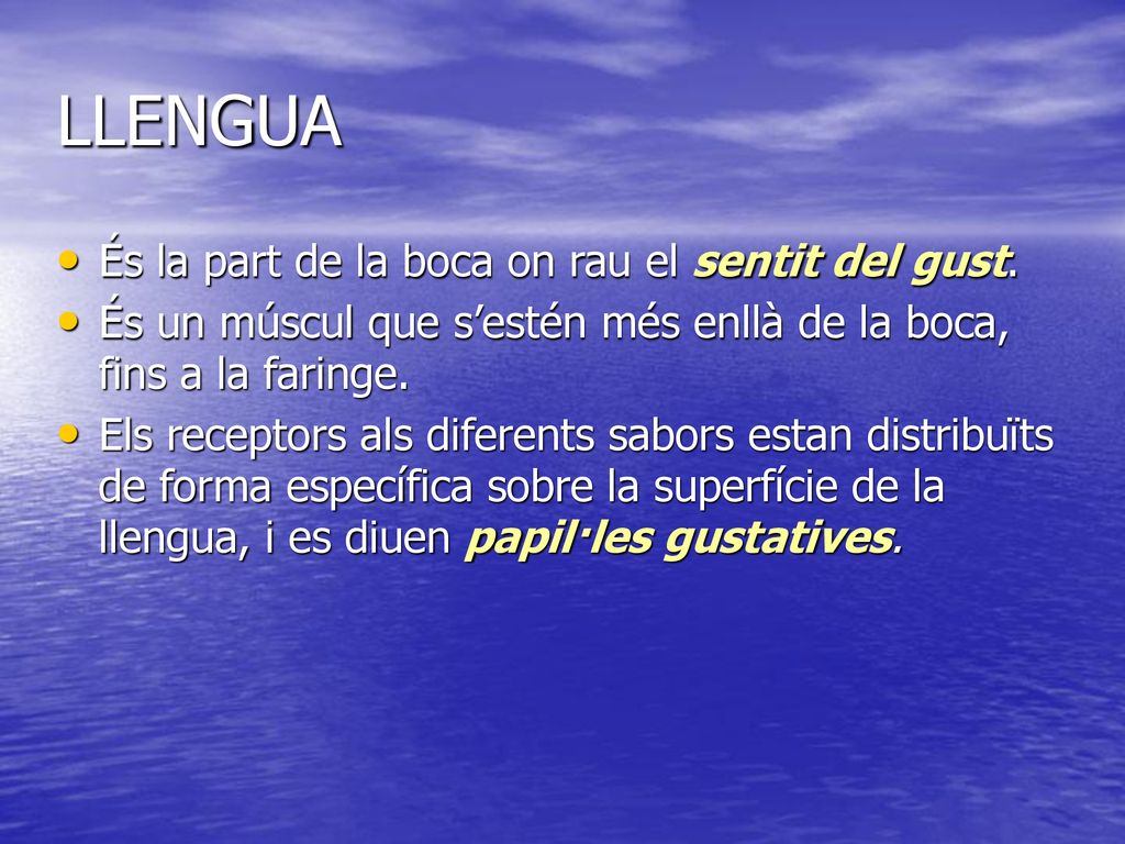 LLENGUA És la part de la boca on rau el sentit del gust.