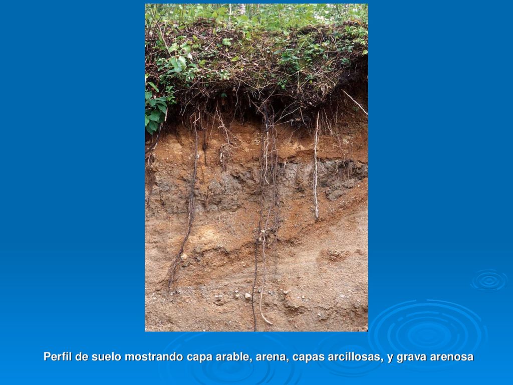 Perfil de suelo mostrando capa arable, arena, capas arcillosas, y grava arenosa