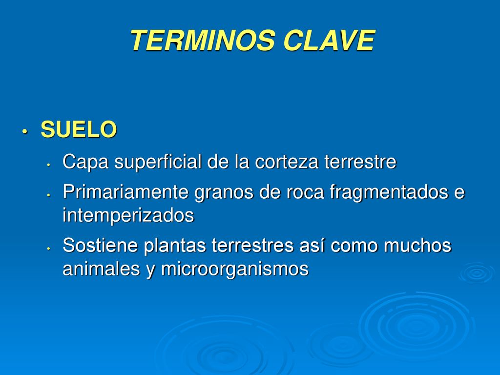 TERMINOS CLAVE SUELO Capa superficial de la corteza terrestre