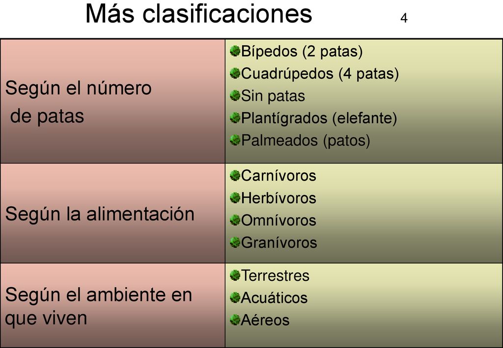 Más clasificaciones 4 Según el número de patas Según la alimentación