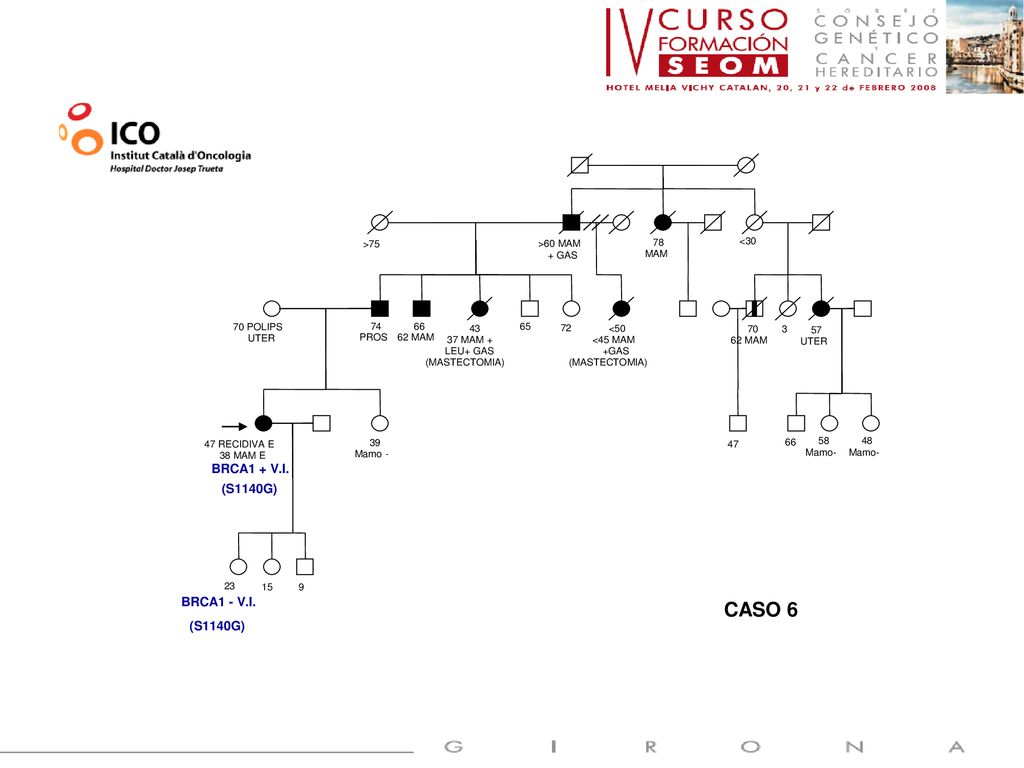 CASO 6 BRCA2: EXON 22 C.8946delA (p.Lys 2982fs-X6) BRCA1 + V.I.