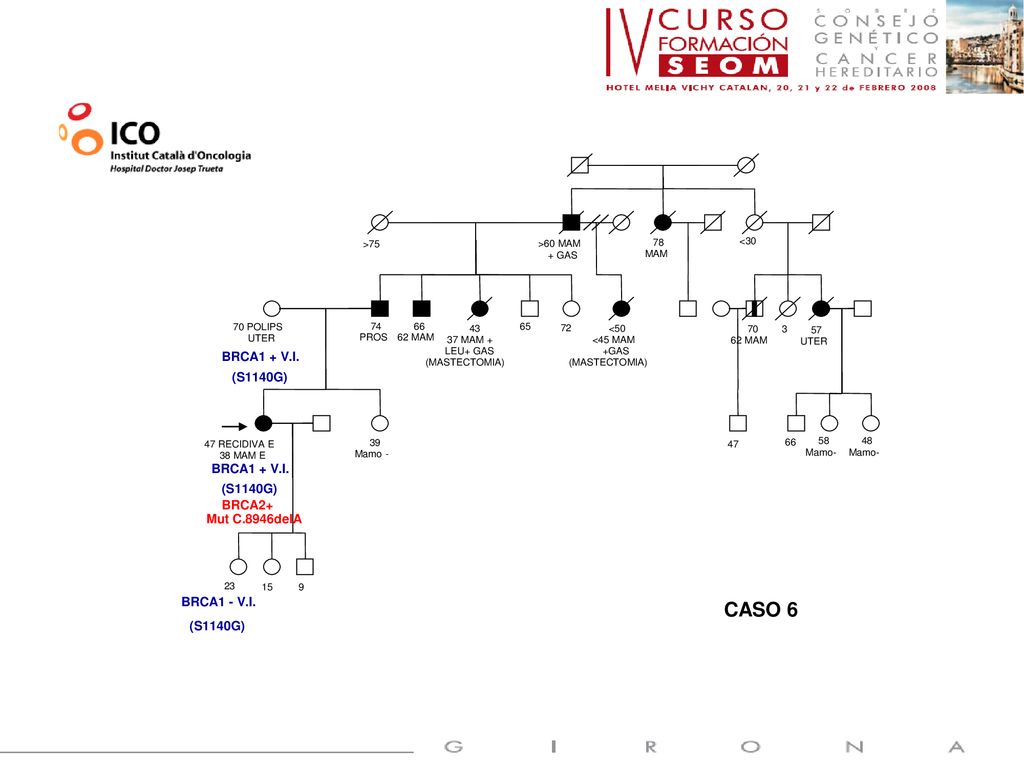 CASO 6 BRCA2: EXON 22 C.8946delA (p.Lys 2982fs-X6) BRCA1 + V.I.