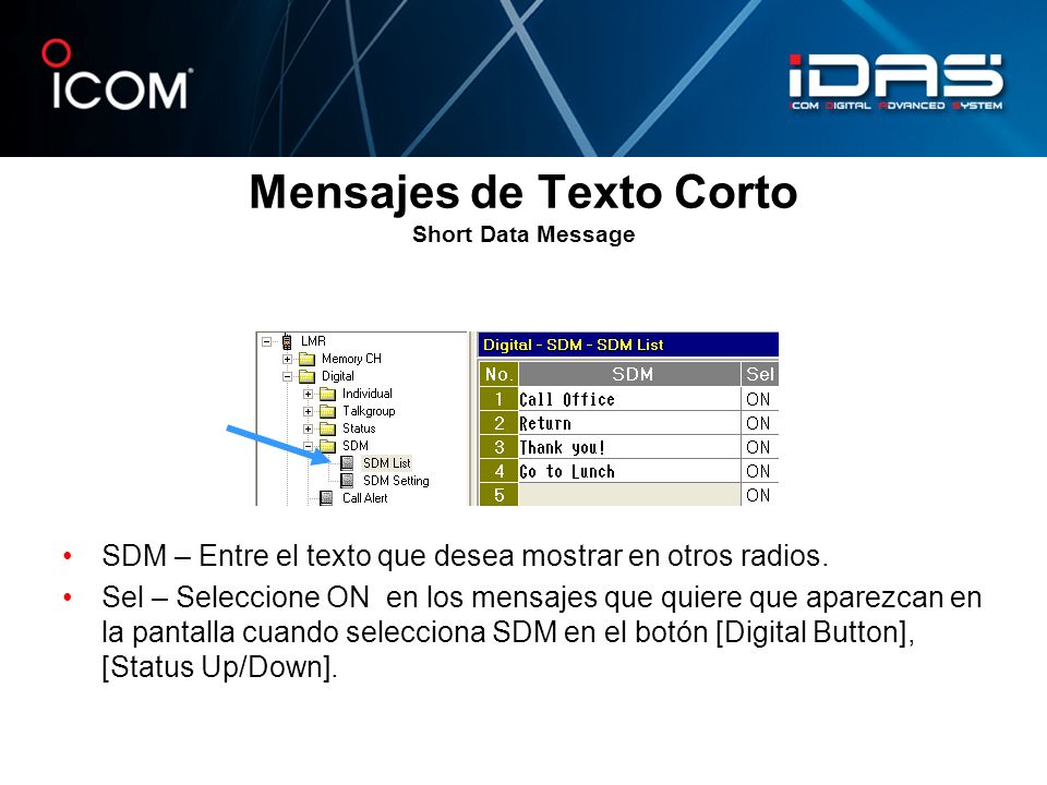 Mensajes de Texto Corto Short Data Message