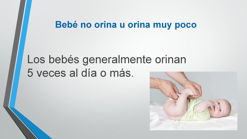 Los bebés generalmente orinan 5 veces al día o más.