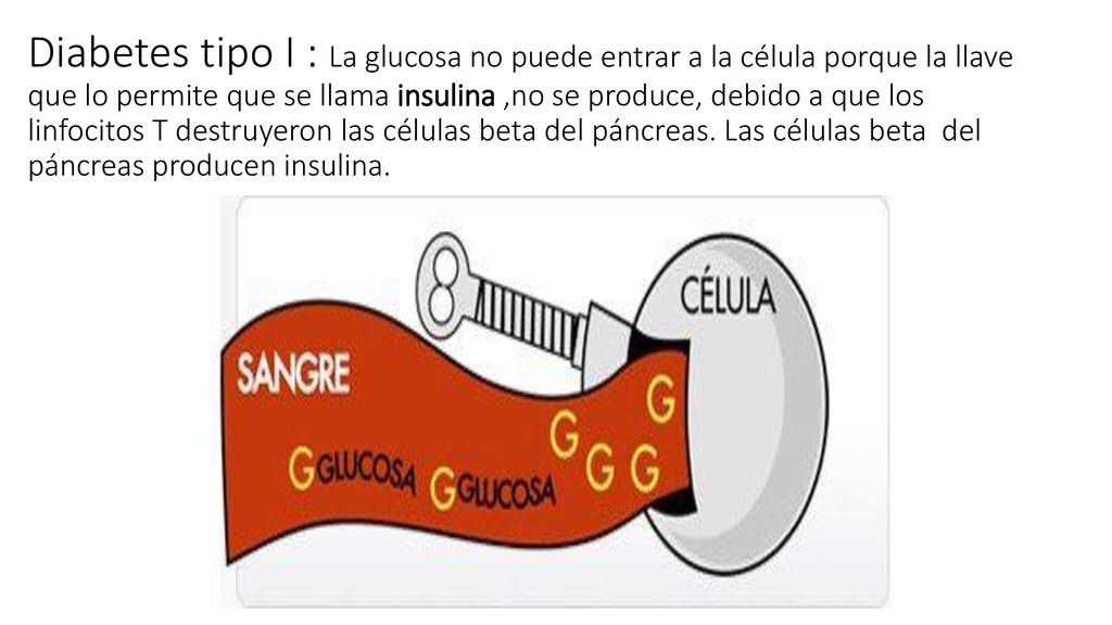 Diabetes tipo I : La glucosa no puede entrar a la célula porque la llave que lo permite que se llama insulina ,no se produce, debido a que los linfocitos T destruyeron las células beta del páncreas.