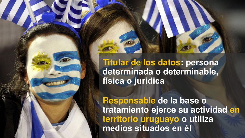 Titular de los datos: persona determinada o determinable, física o jurídica