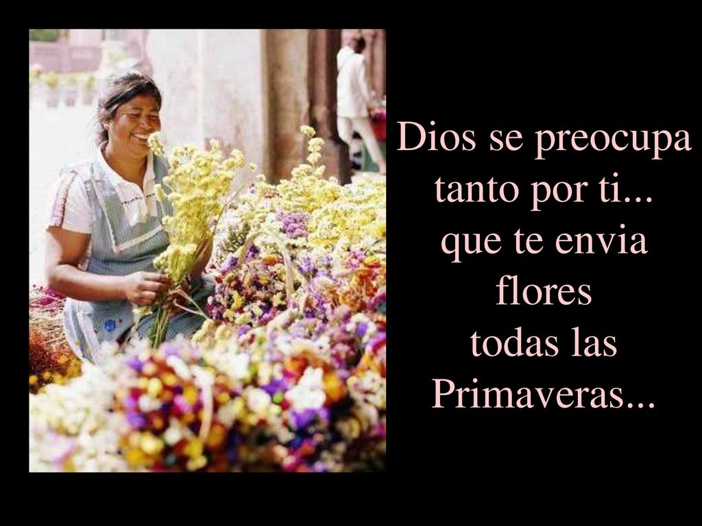 Dios se preocupa tanto por ti... que te envia flores todas las Primaveras...