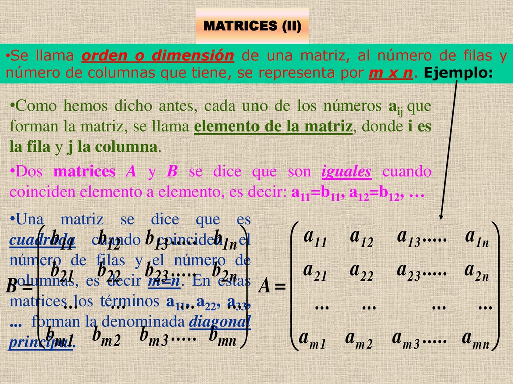 MATRICES (II) Se llama orden o dimensión de una matriz, al número de filas y número de columnas que tiene, se representa por m x n. Ejemplo: