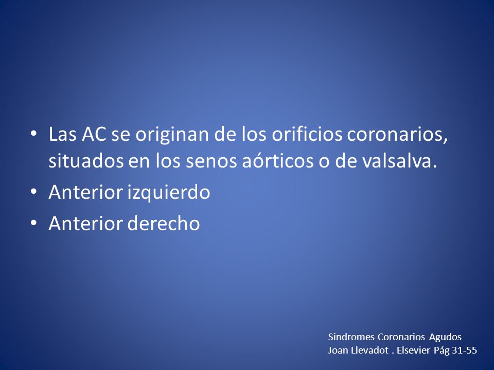 Las AC se originan de los orificios coronarios, situados en los senos aórticos o de valsalva.
