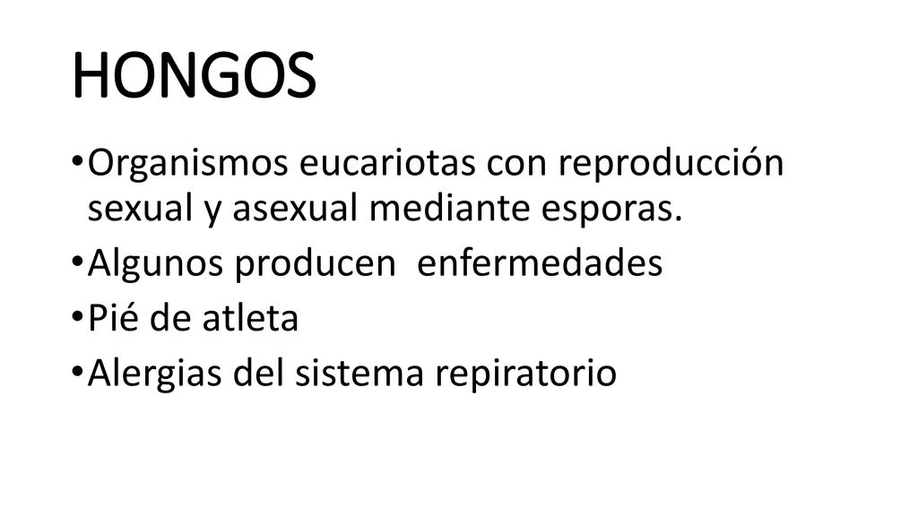 HONGOS Organismos eucariotas con reproducción sexual y asexual mediante esporas. Algunos producen enfermedades.