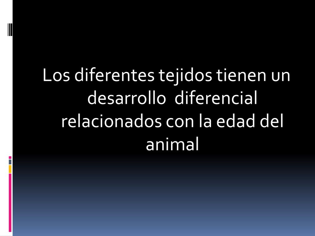 Los diferentes tejidos tienen un desarrollo diferencial relacionados con la edad del animal