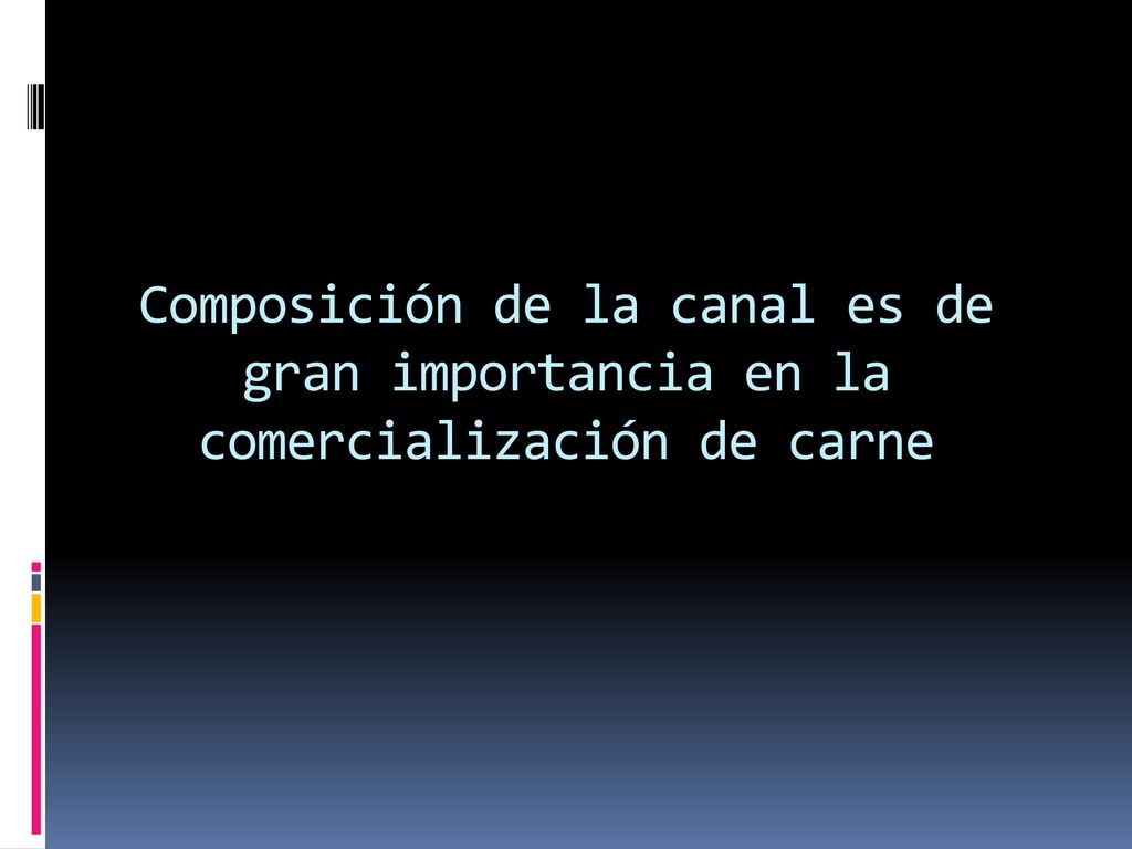 Composición de la canal es de gran importancia en la comercialización de carne