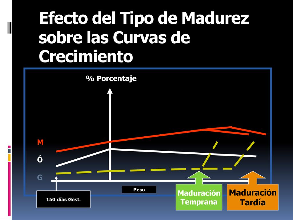 Efecto del Tipo de Madurez sobre las Curvas de Crecimiento