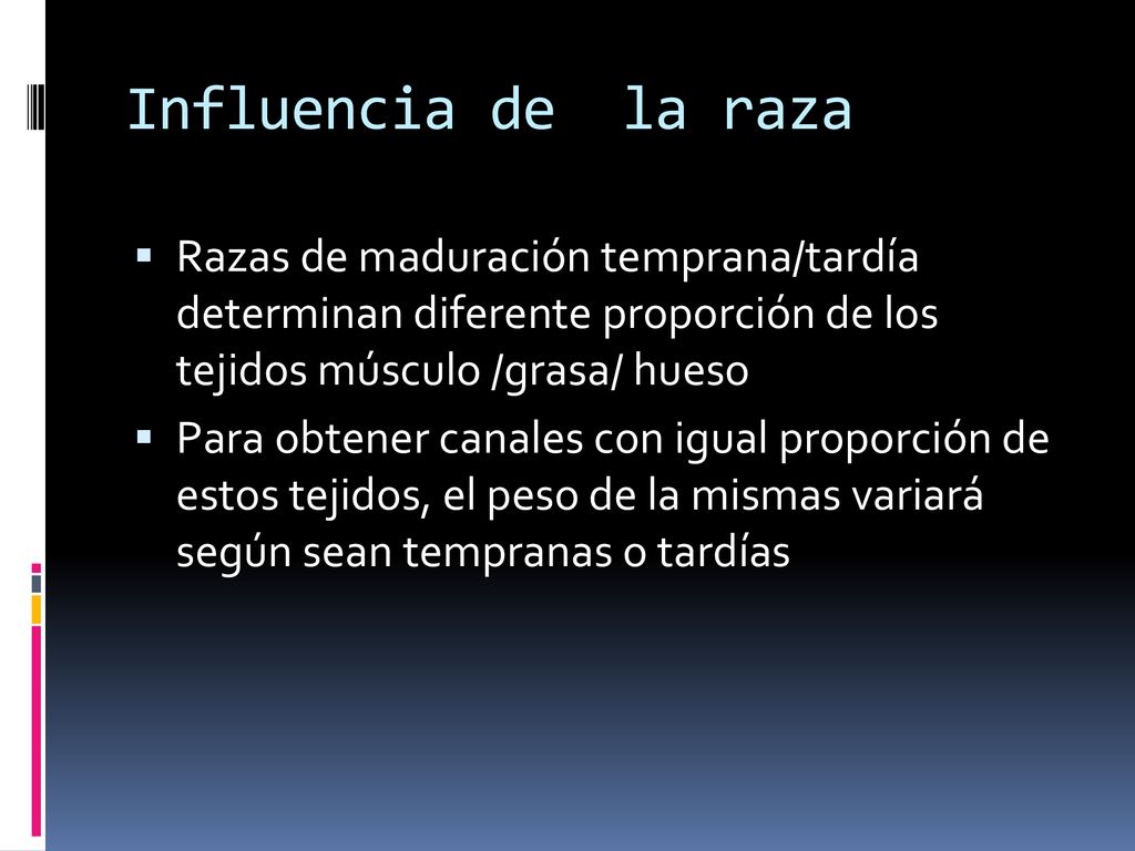 Influencia de la raza Razas de maduración temprana/tardía determinan diferente proporción de los tejidos músculo /grasa/ hueso.
