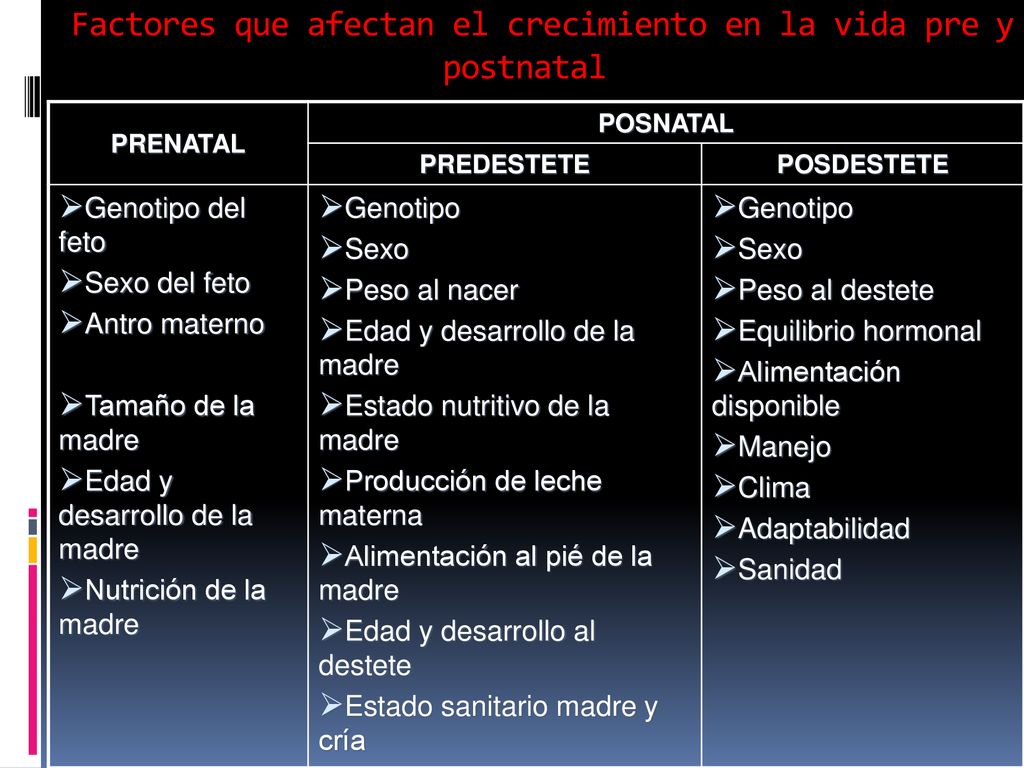 Factores que afectan el crecimiento en la vida pre y postnatal