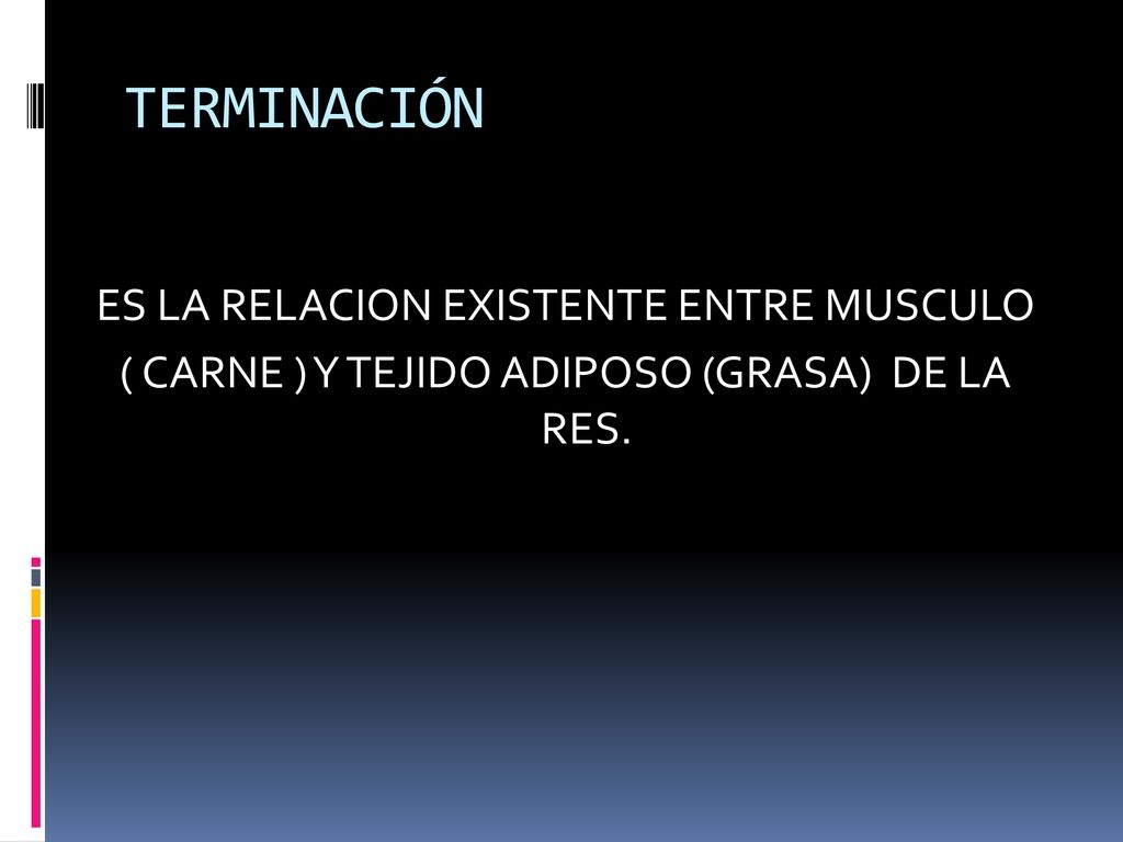 TERMINACIÓN ES LA RELACION EXISTENTE ENTRE MUSCULO ( CARNE ) Y TEJIDO ADIPOSO (GRASA) DE LA RES.
