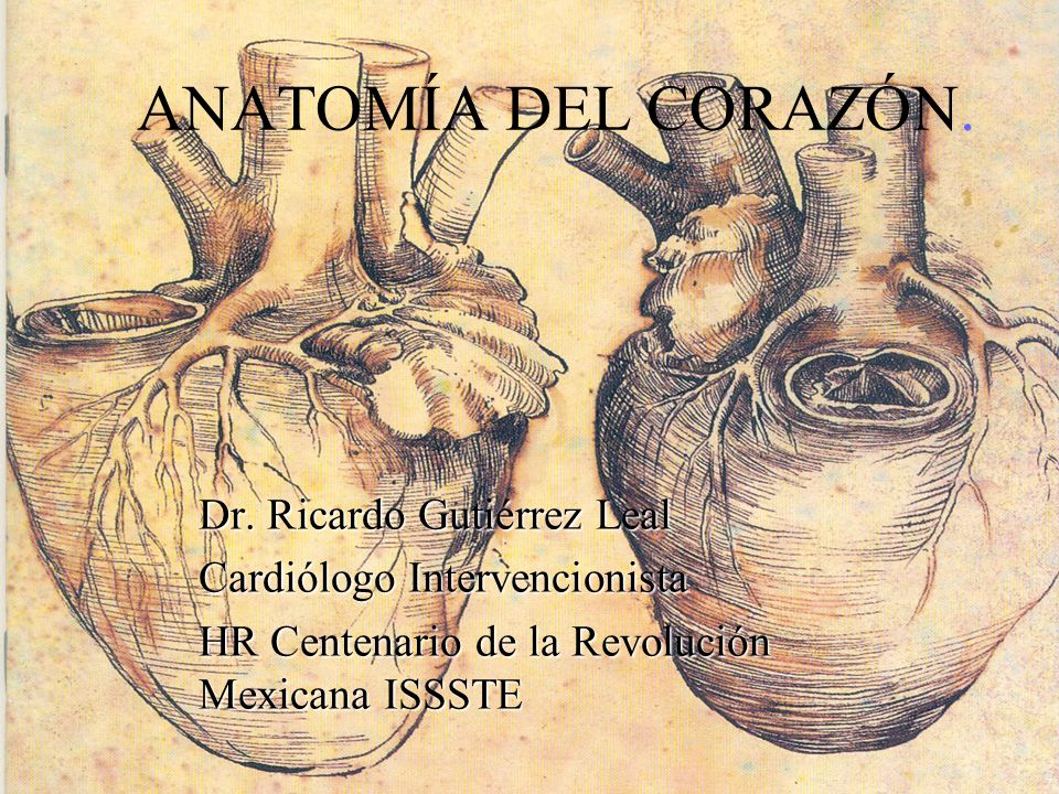 ANATOMÍA DEL CORAZÓN. Dr. Ricardo Gutiérrez Leal