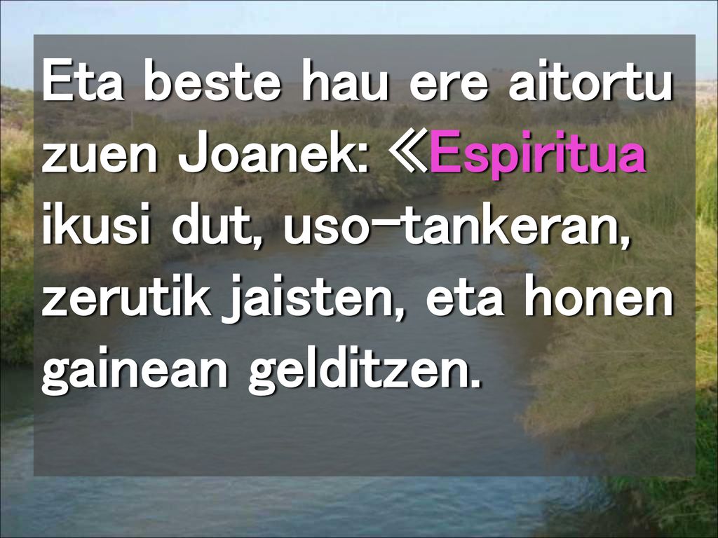 Eta beste hau ere aitortu zuen Joanek: «Espiritua ikusi dut, uso-tankeran, zerutik jaisten, eta honen gainean gelditzen.