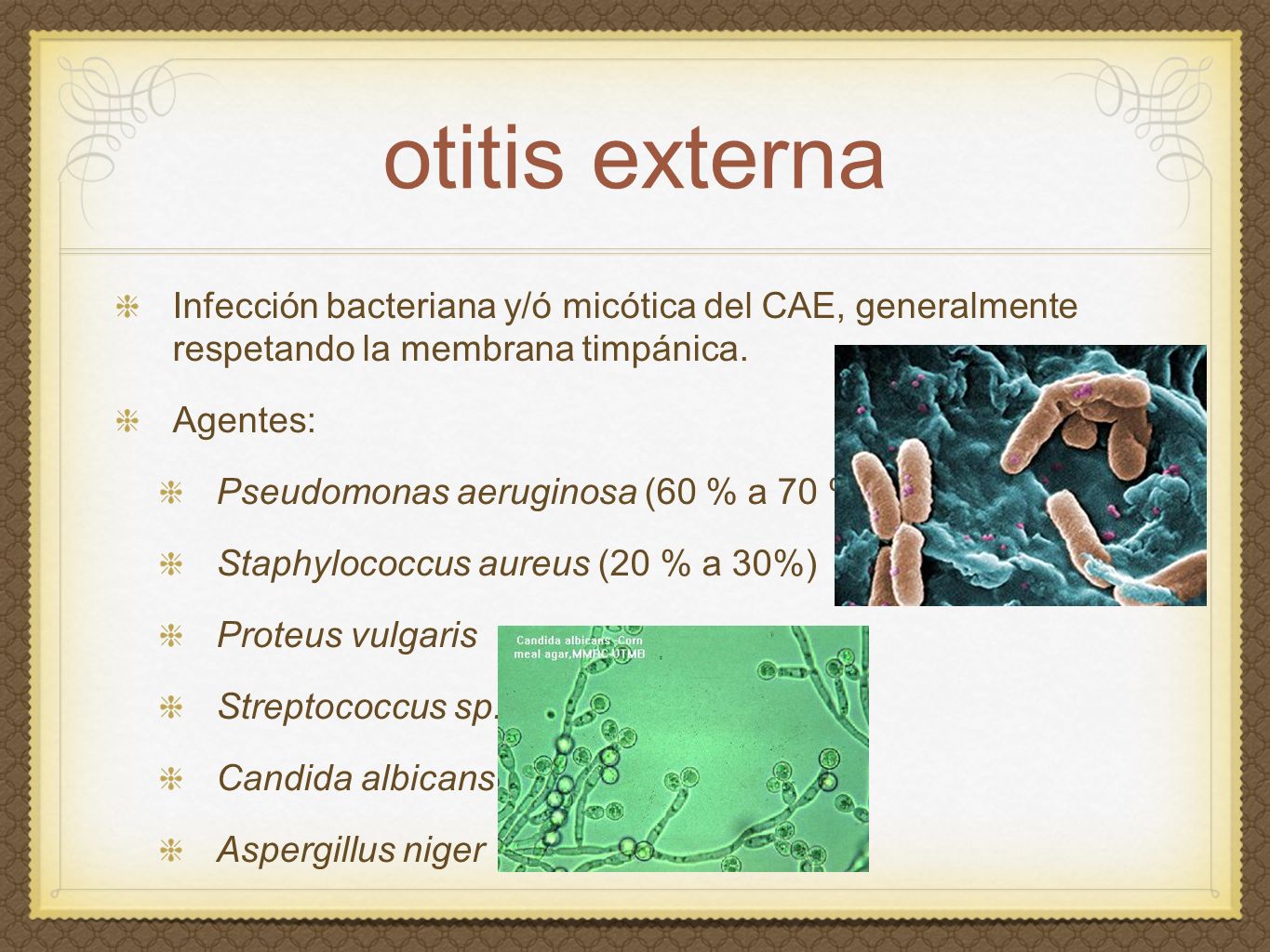 otitis externa Infección bacteriana y/ó micótica del CAE, generalmente respetando la membrana timpánica.