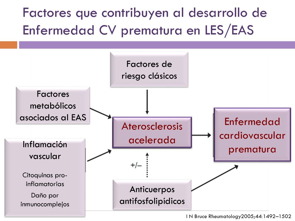 Factores que contribuyen al desarrollo de Enfermedad CV prematura en LES/EAS