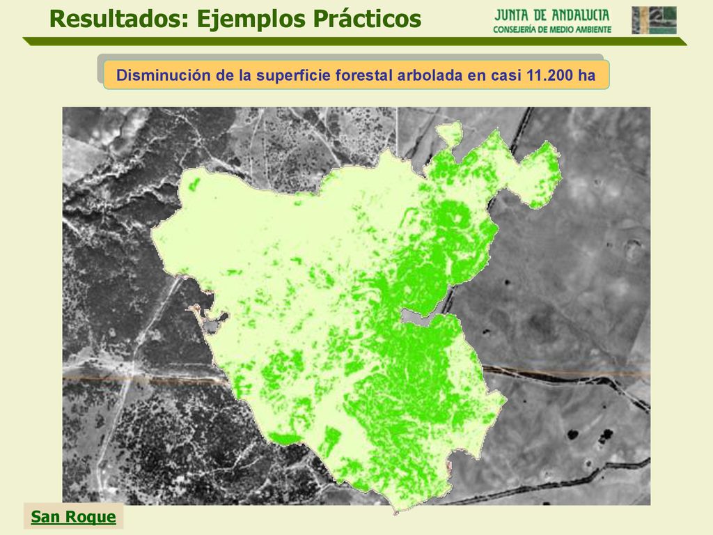 Disminución de la superficie forestal arbolada en casi ha