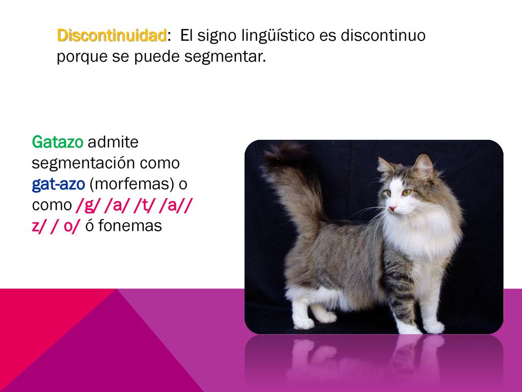 Discontinuidad: El signo lingüístico es discontinuo porque se puede segmentar.