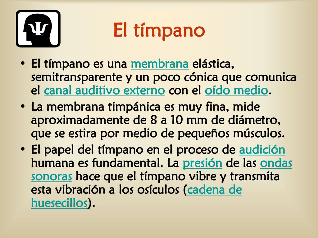 El tímpano El tímpano es una membrana elástica, semitransparente y un poco cónica que comunica el canal auditivo externo con el oído medio.
