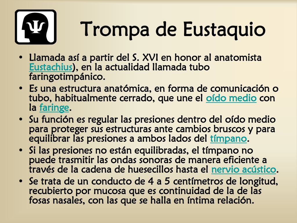 Trompa de Eustaquio Llamada así a partir del S. XVI en honor al anatomista Eustachius), en la actualidad llamada tubo faringotimpánico.
