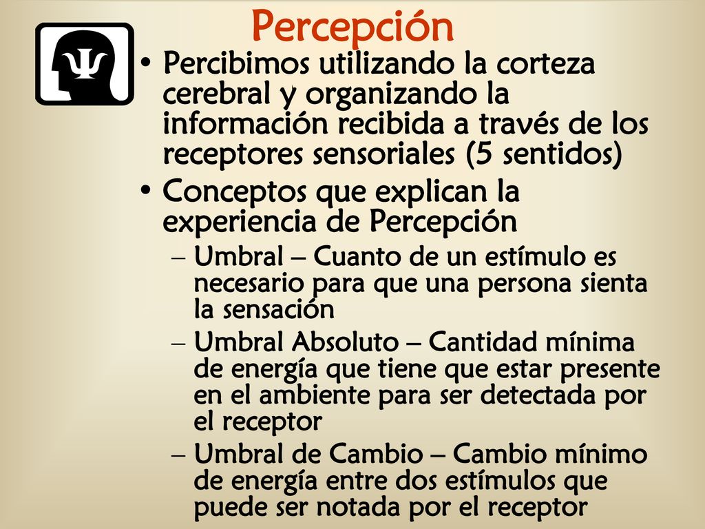 Percepción Percibimos utilizando la corteza cerebral y organizando la información recibida a través de los receptores sensoriales (5 sentidos)