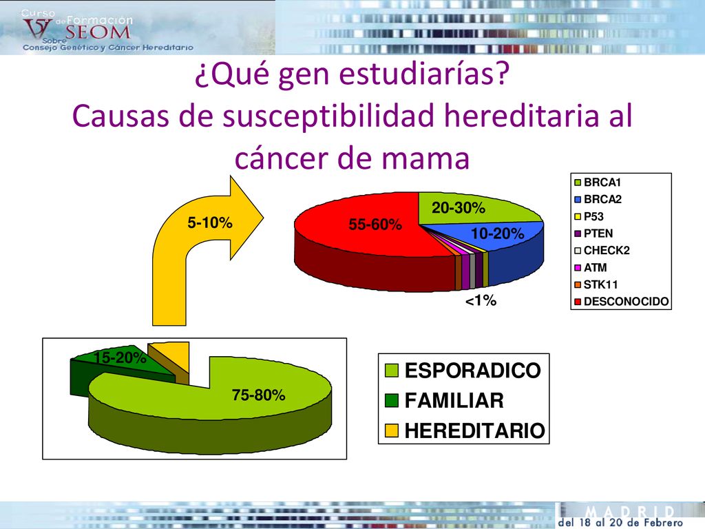 ¿Qué gen estudiarías Causas de susceptibilidad hereditaria al cáncer de mama