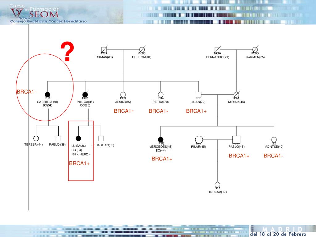 BRCA1- BRCA1- BRCA1- BRCA1+ BRCA1+ BRCA1- BRCA1+ BRCA1+ TERESA (44)