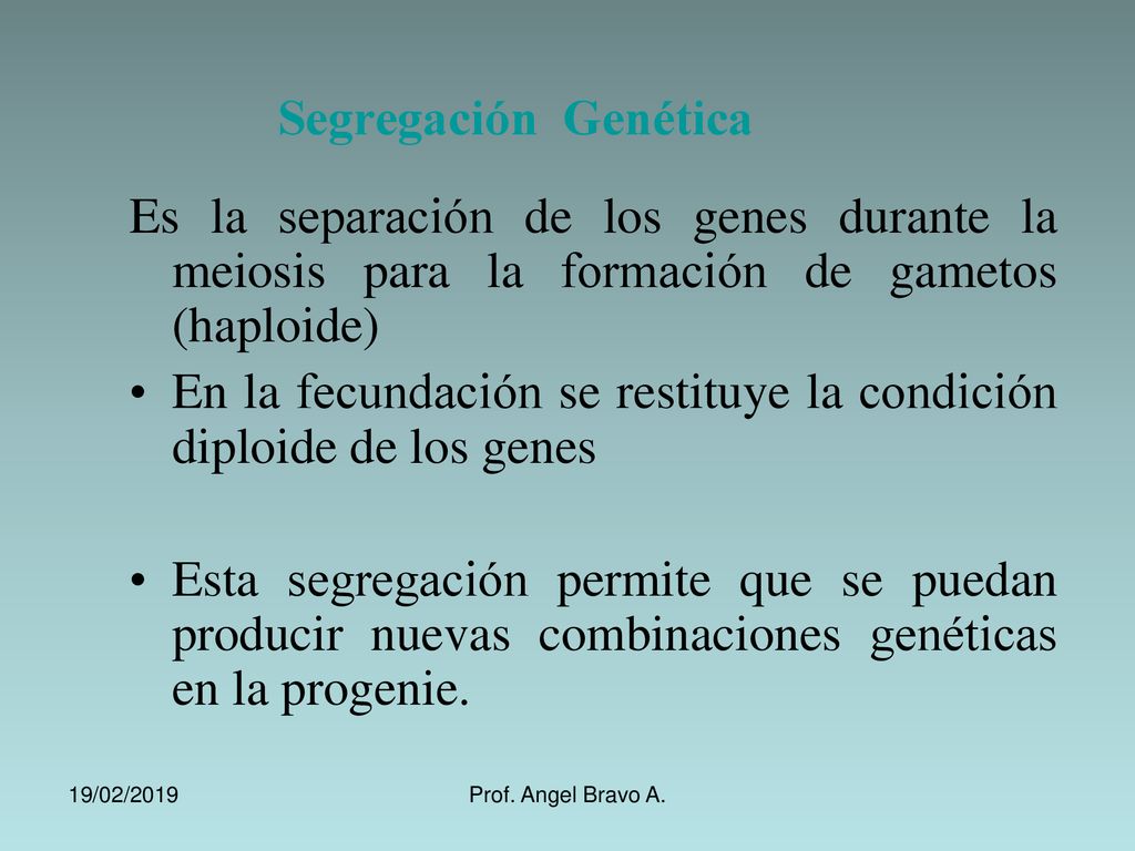 En la fecundación se restituye la condición diploide de los genes