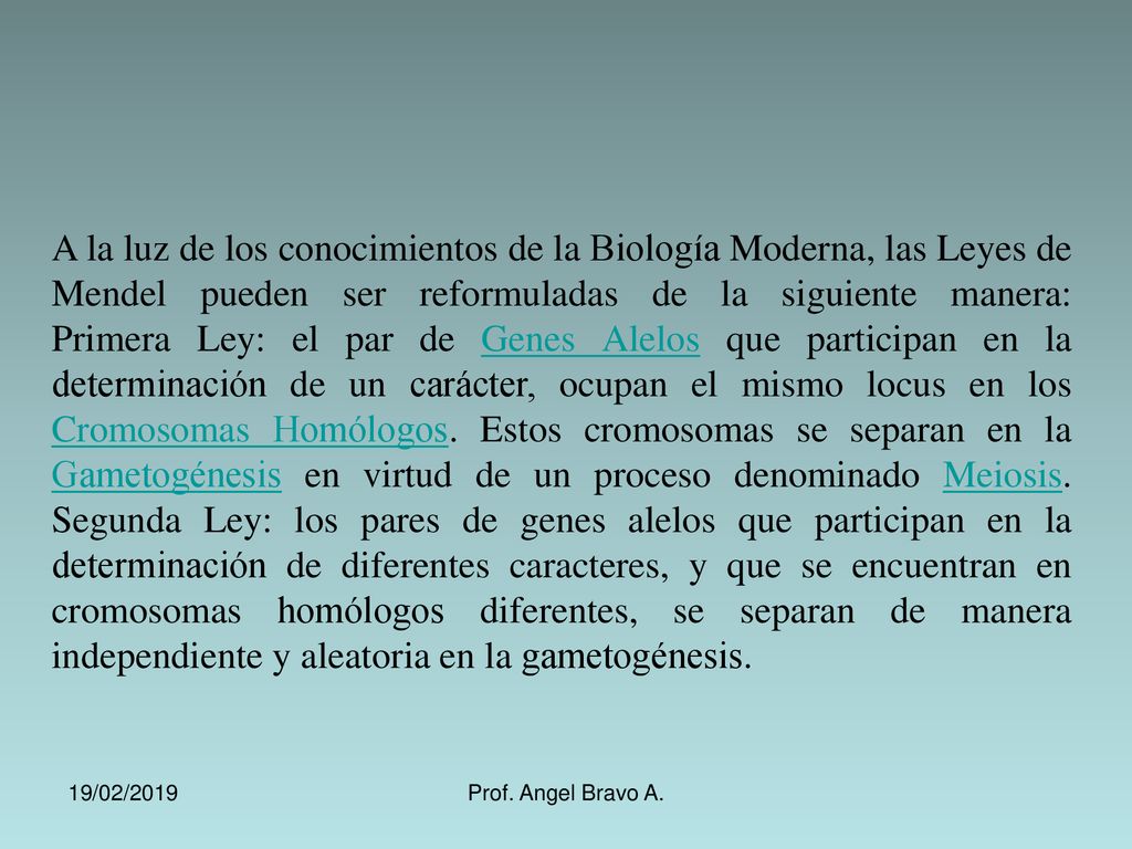 A la luz de los conocimientos de la Biología Moderna, las Leyes de Mendel pueden ser reformuladas de la siguiente manera: Primera Ley: el par de Genes Alelos que participan en la determinación de un carácter, ocupan el mismo locus en los Cromosomas Homólogos. Estos cromosomas se separan en la Gametogénesis en virtud de un proceso denominado Meiosis. Segunda Ley: los pares de genes alelos que participan en la determinación de diferentes caracteres, y que se encuentran en cromosomas homólogos diferentes, se separan de manera independiente y aleatoria en la gametogénesis.