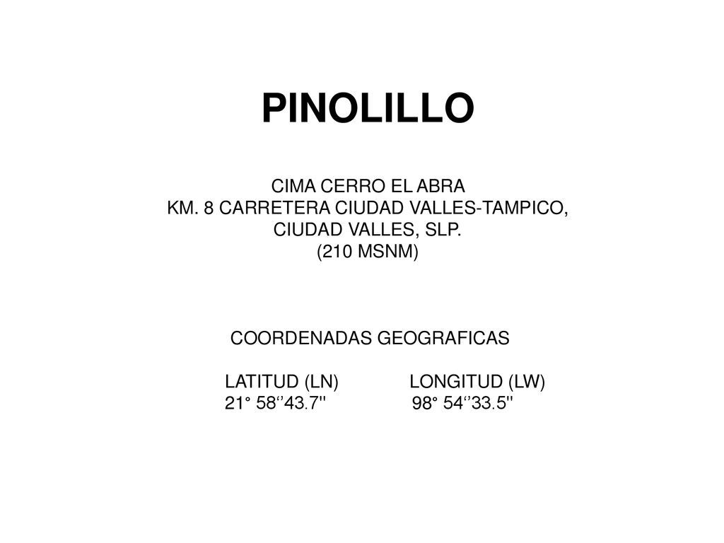 PINOLILLO CIMA CERRO EL ABRA KM. 8 CARRETERA CIUDAD VALLES-TAMPICO,