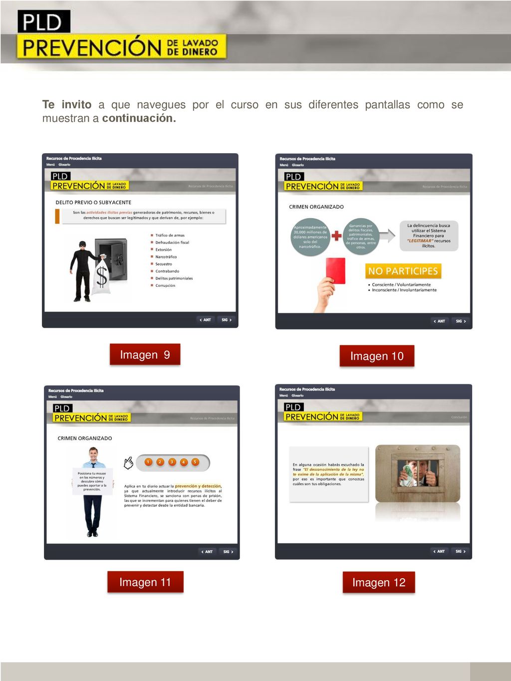 Te invito a que navegues por el curso en sus diferentes pantallas como se muestran a continuación.
