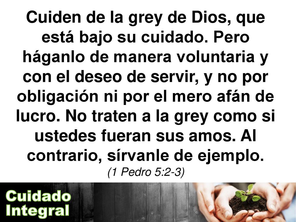 Cuiden de la grey de Dios, que está bajo su cuidado