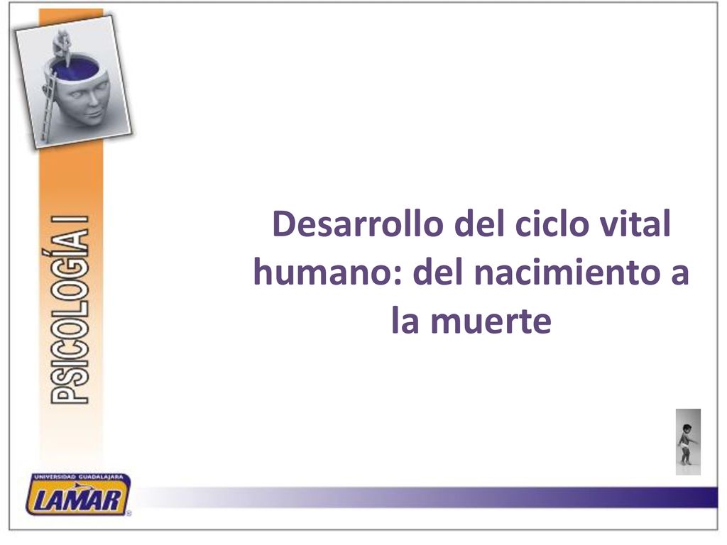 Desarrollo del ciclo vital humano: del nacimiento a la muerte