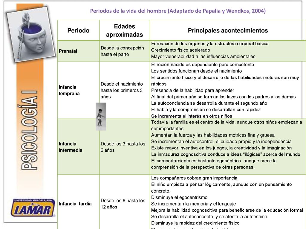 Periodos de la vida del hombre (Adaptado de Papalia y Wendkos, 2004)