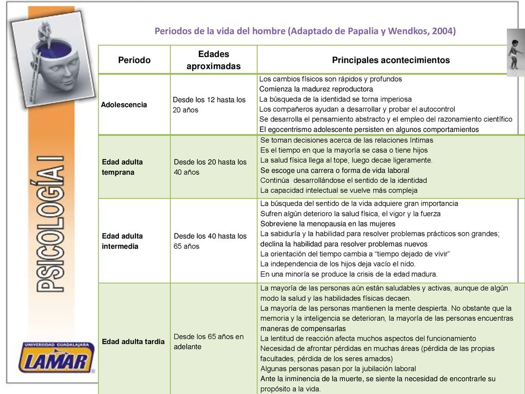Periodos de la vida del hombre (Adaptado de Papalia y Wendkos, 2004)