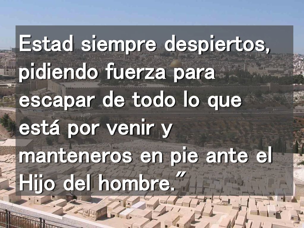 Estad siempre despiertos, pidiendo fuerza para escapar de todo lo que está por venir y manteneros en pie ante el Hijo del hombre.